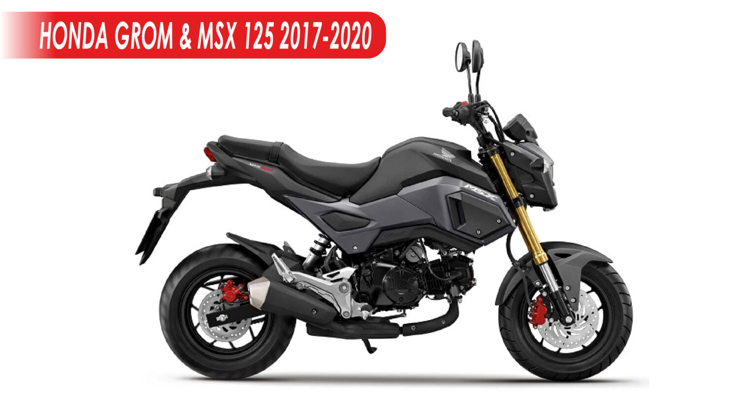 Kit déco 10% perso "HONDA GROM & MSX 125 2017-2020"